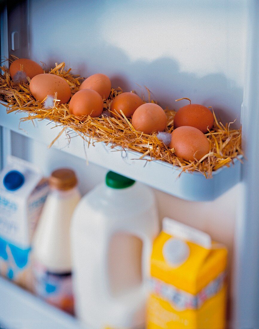 Freshly laid eggs in straw in refrigerator