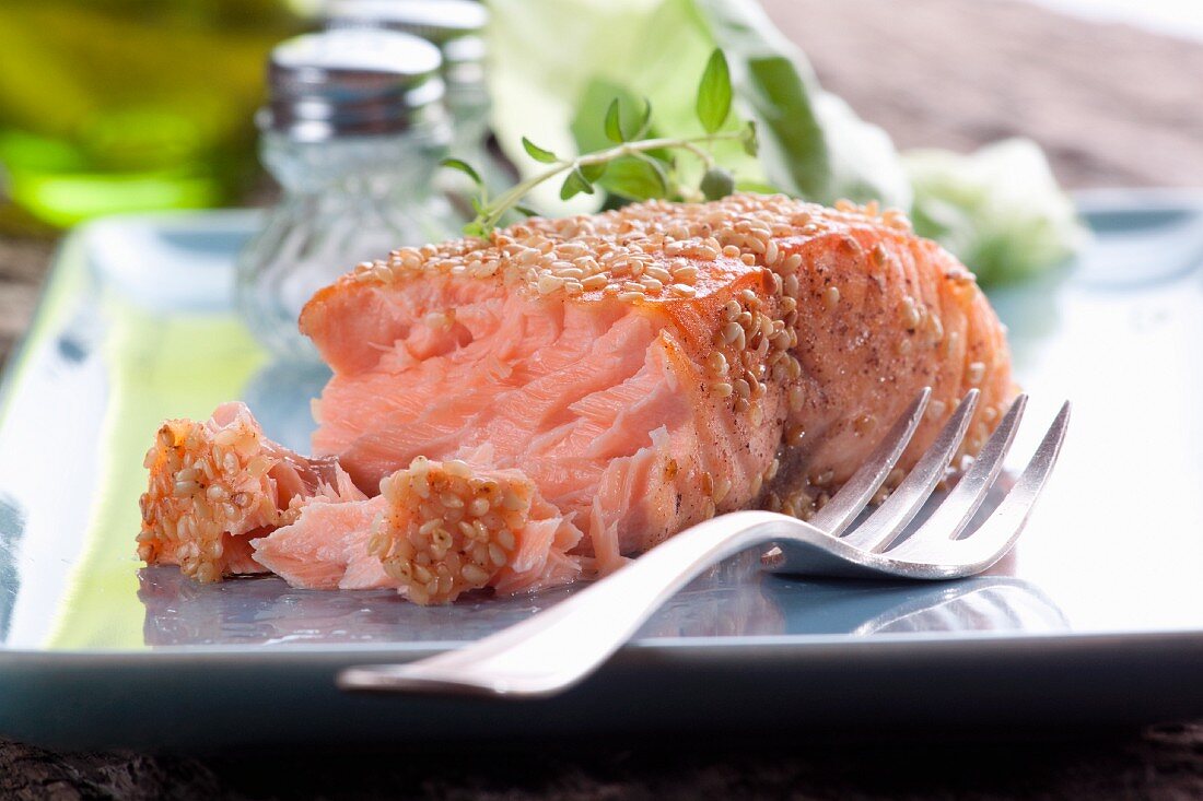 Salmon steak with sesame seeds