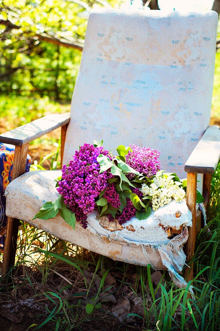 Purple and white lilac on an old upholstered chair in the garden