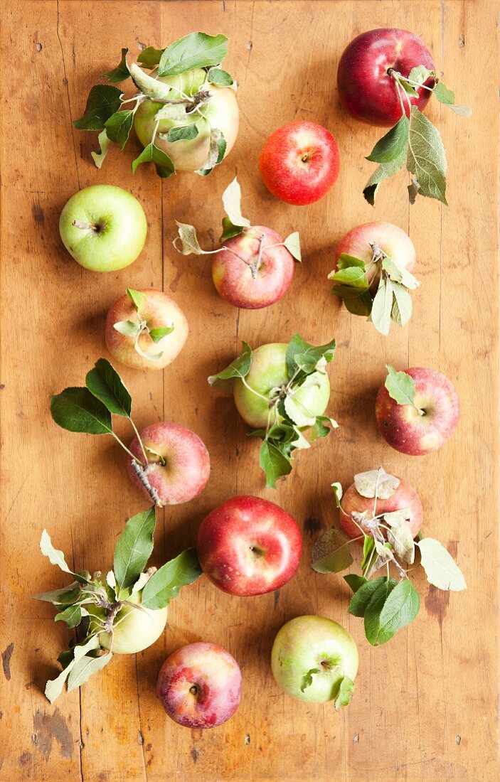 Frisch geerntete Äpfel (Sorten: Gala, Pink Lady, Granny Smith, Cameo, Rome und Northern Spy) auf rustikalen Tisch