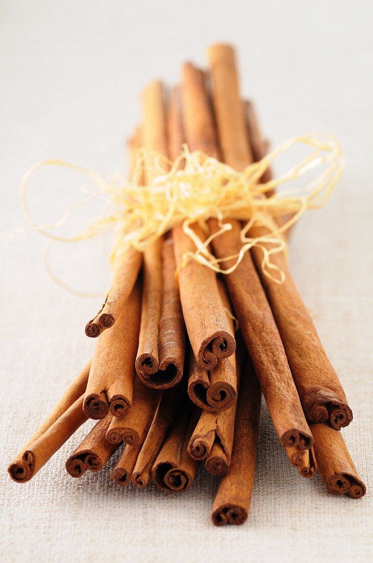 Cinnamon Sticks Bundled and Standing Up