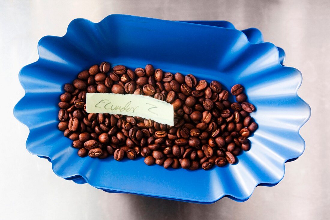 Kaffeebohnen aus Ecuador in blauem Schälchen (Aufsicht)