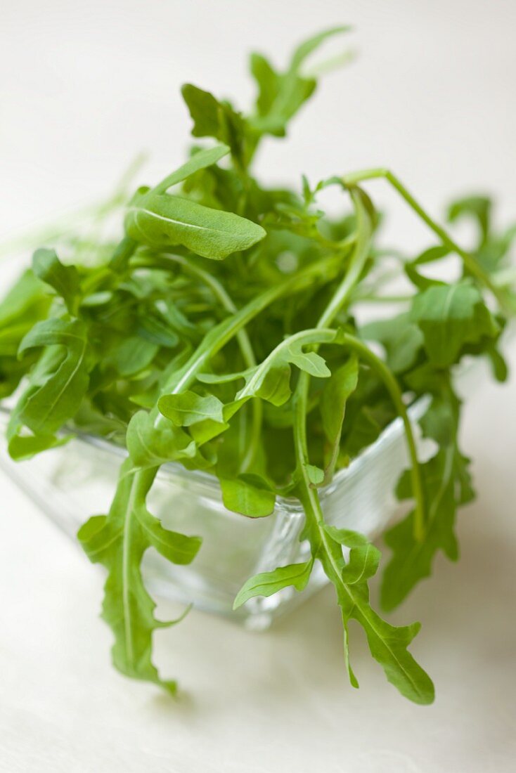 Rucola im Glasschälchen