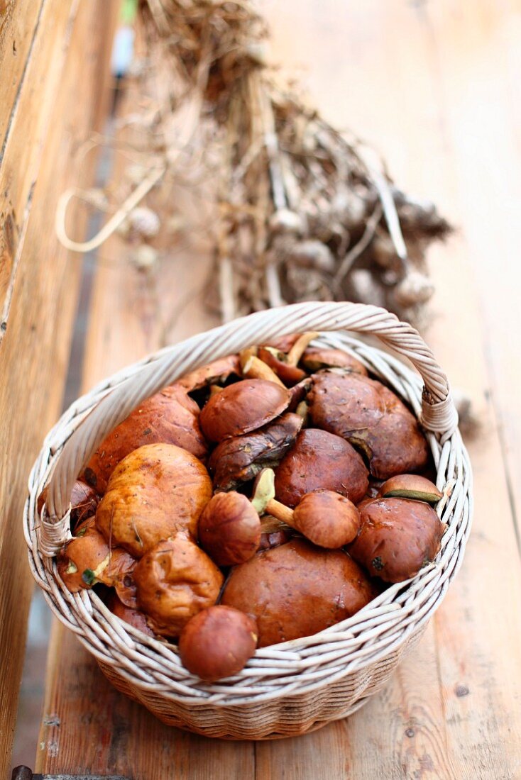 Frische Pilze in einem Korb auf Holztisch