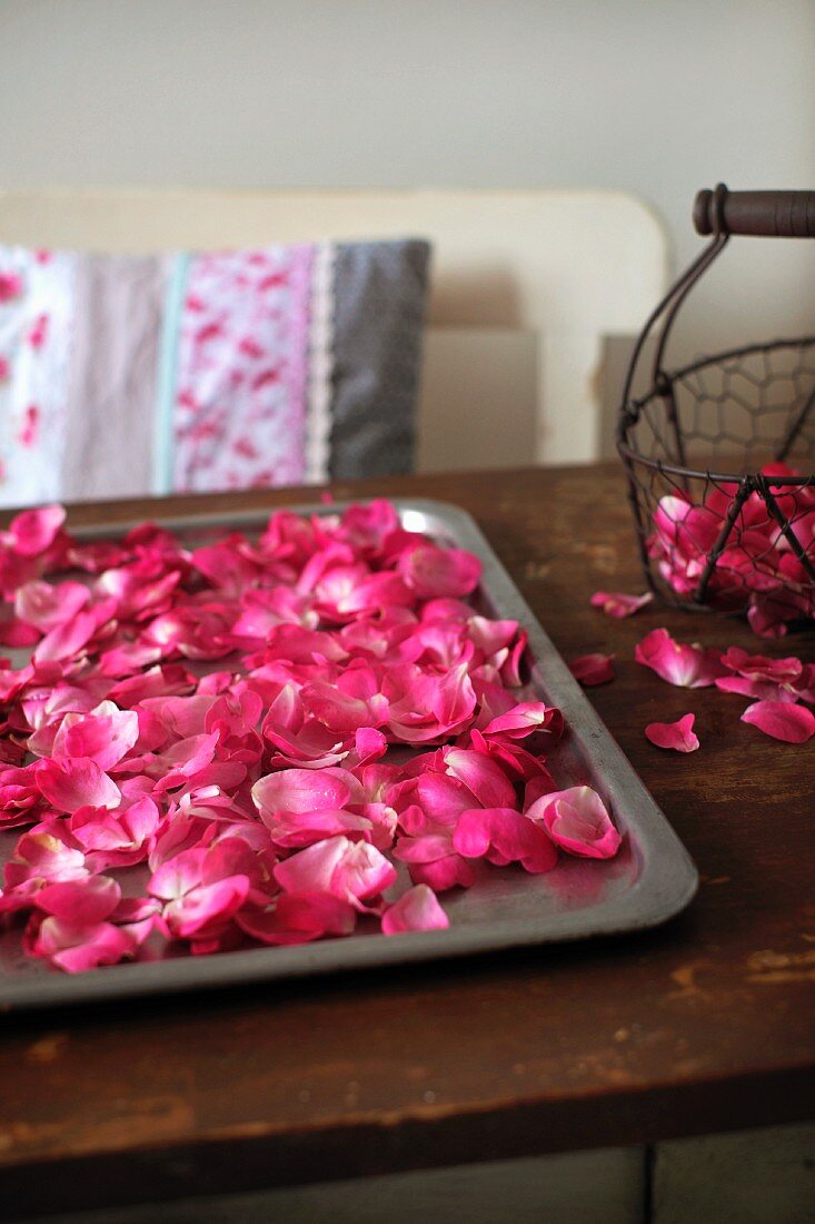 Rose petals on a baking sheet for drying