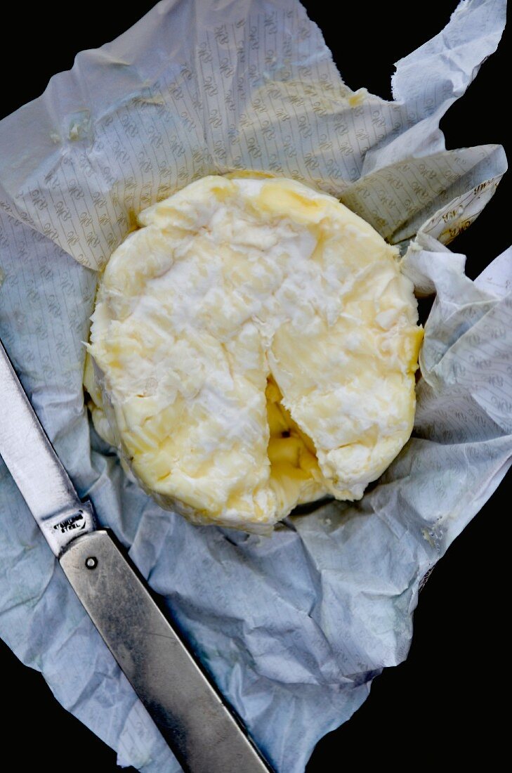 Französischer Chaource Käse