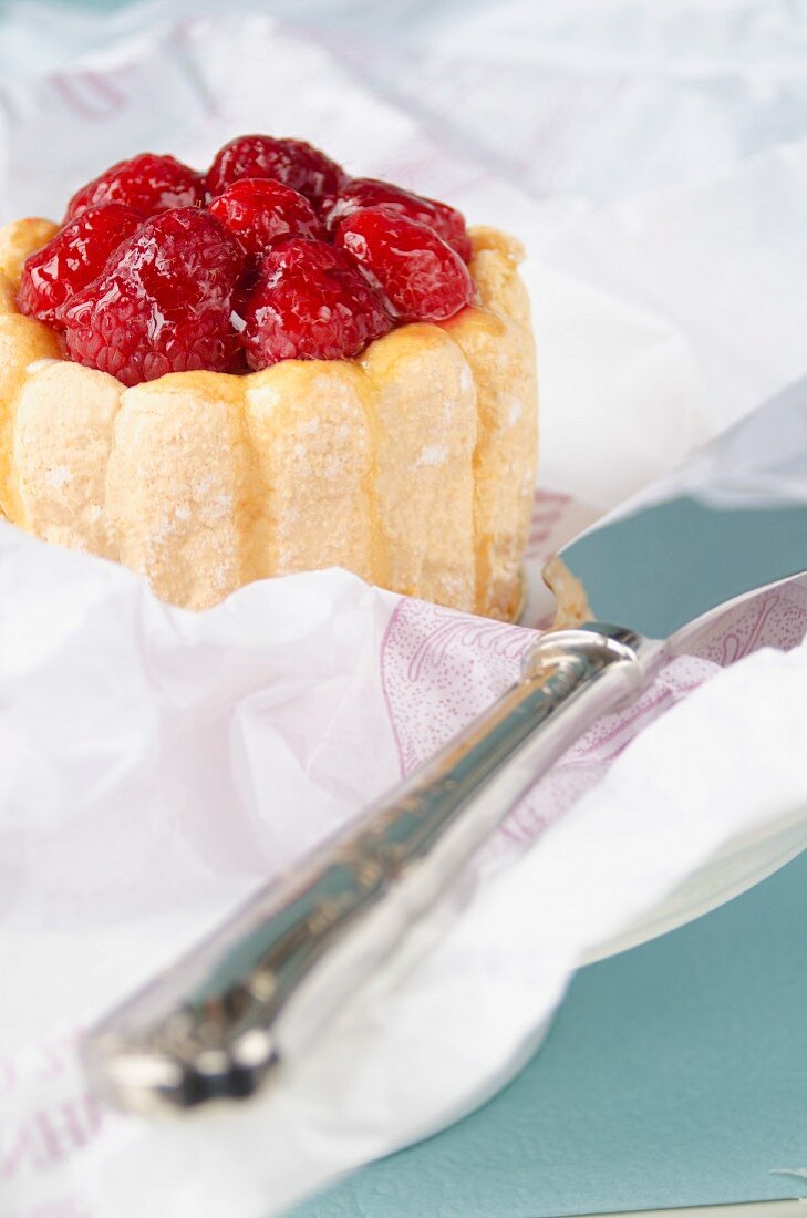 Raspberry charlotte and a cake slice
