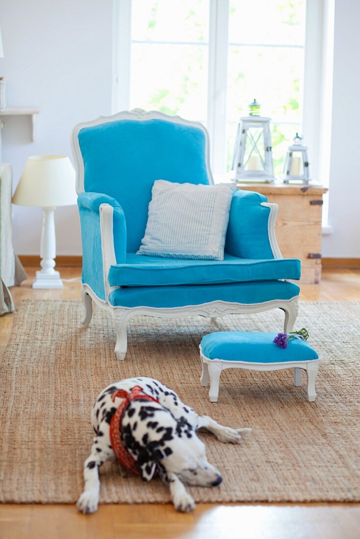 Blue antique armchair with stool on a carpet, a Dalmatian lying on the carpet in the foreground