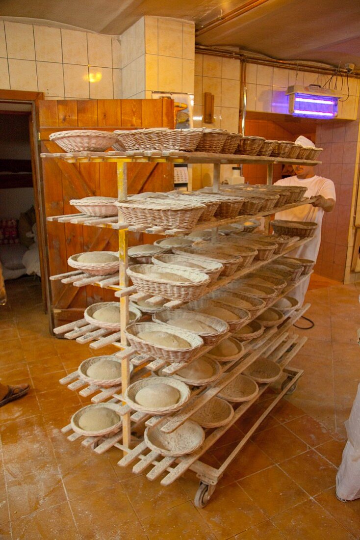 A baker pushing a trolley loaded with unbaked bread in baking baskets