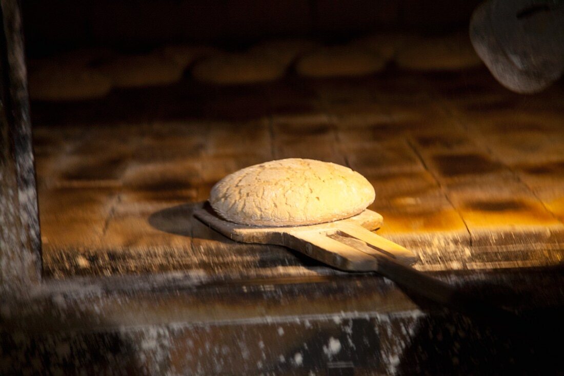 Ungebackenes Brot auf Holzschaufel im Backofen