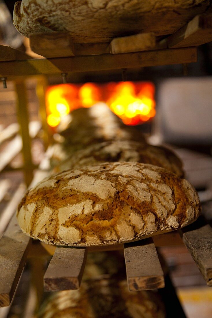 Freshly baked loaves on a shelf in front of the wood-fired oven at the bakery