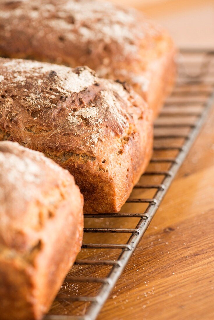 Freshly baked sourdough bread on a cooling rack