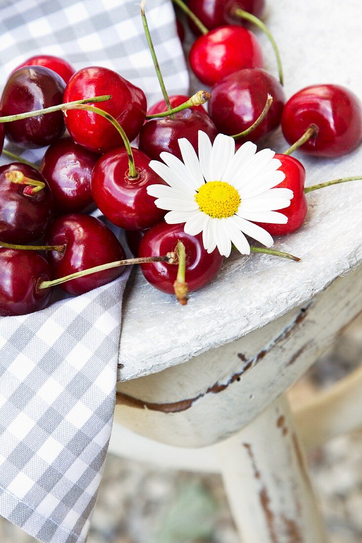 Fresh cherries with an oxeye daisy on a wooden table