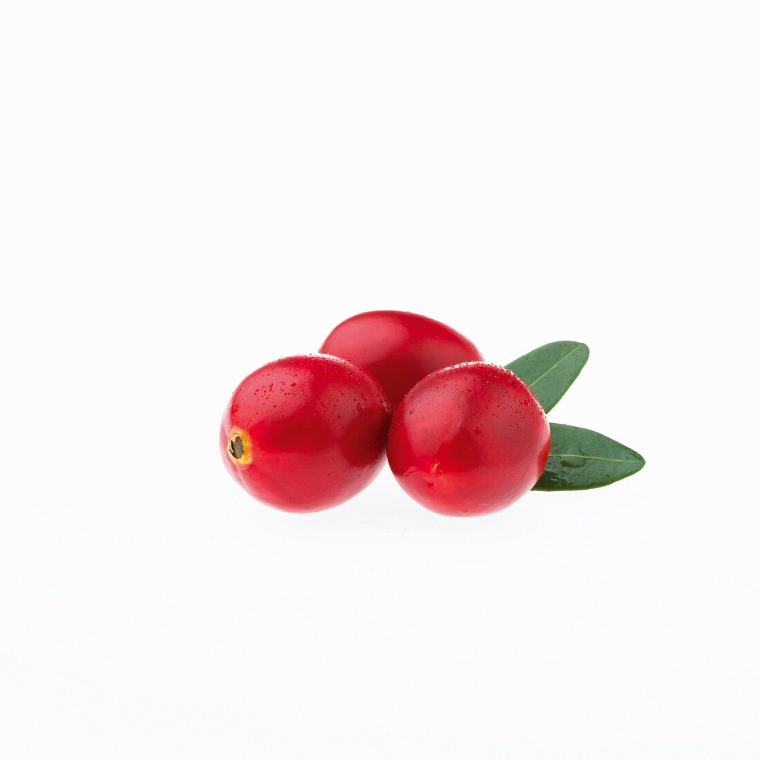 Drei Cranberries mit Wassertropfen