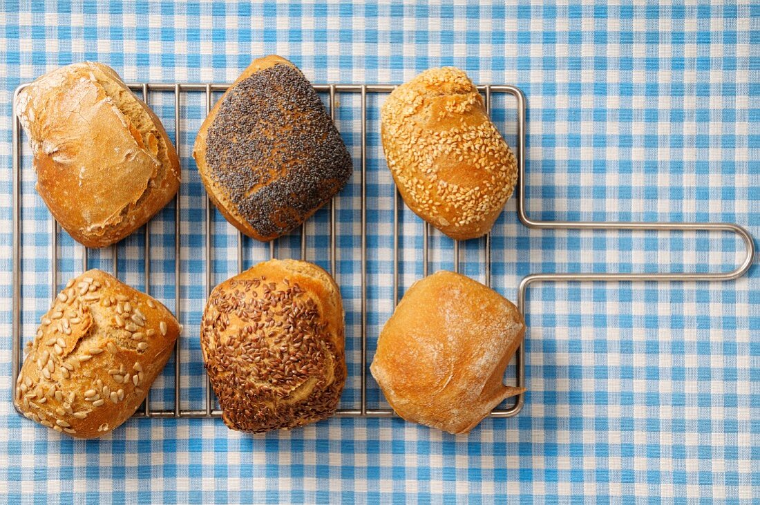 Verschiedene Brötchen auf Abkühlgitter