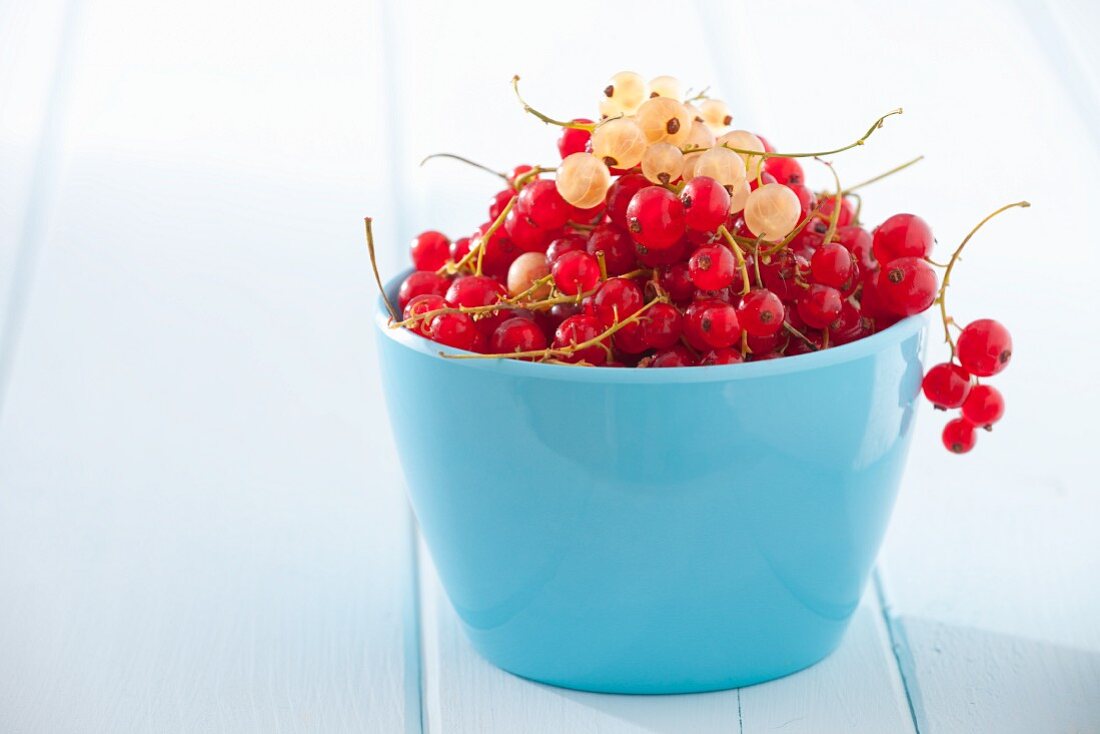 Redcurrants in a small bowl