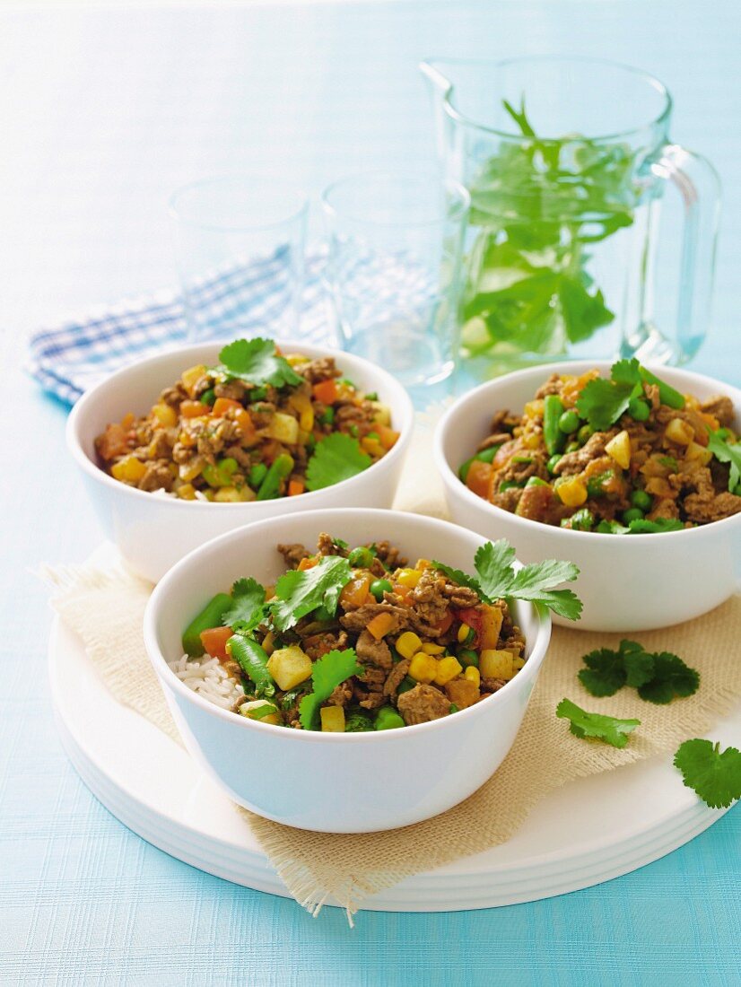 Hackfleischcurry mit Gemüse und Koriandergrün auf Reis