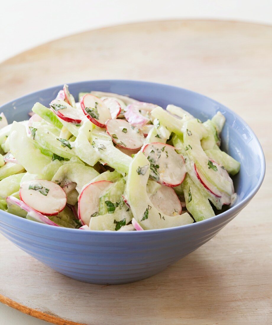 Gurken-Radieschen-Salat mit Sahnedressing