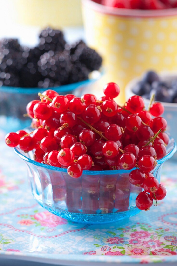 Frische Johannisbeeren, Brombeeren und Heidelbeeren in Schalen