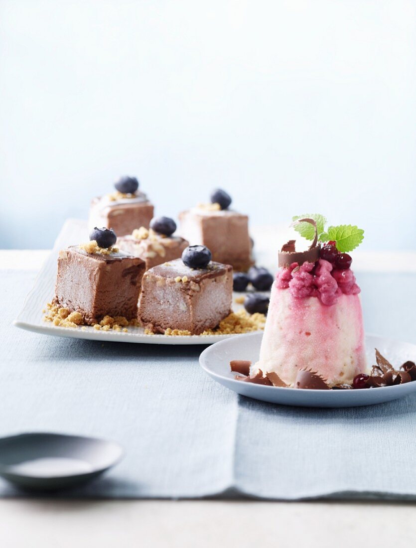 Slices of chocolate ice cream and ice cream cake on a plate