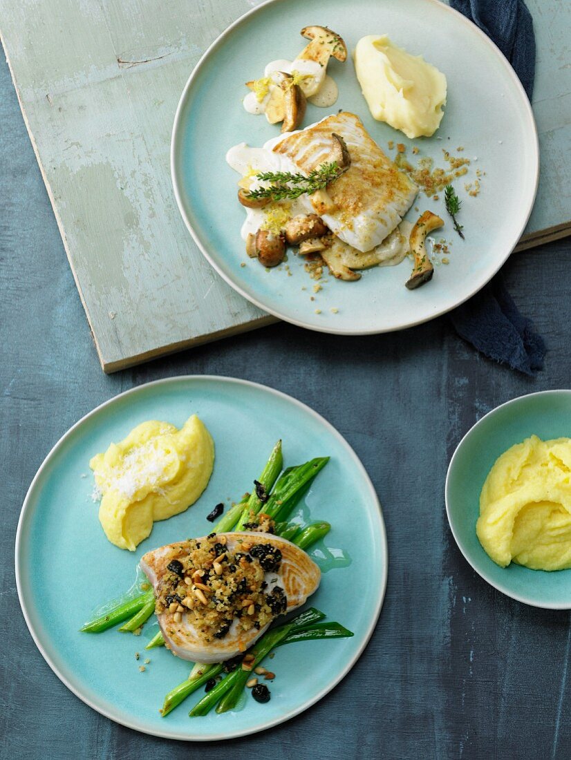 Kabeljaufilet mit Pilzen & Schwertfisch auf Frühlingszwiebeln