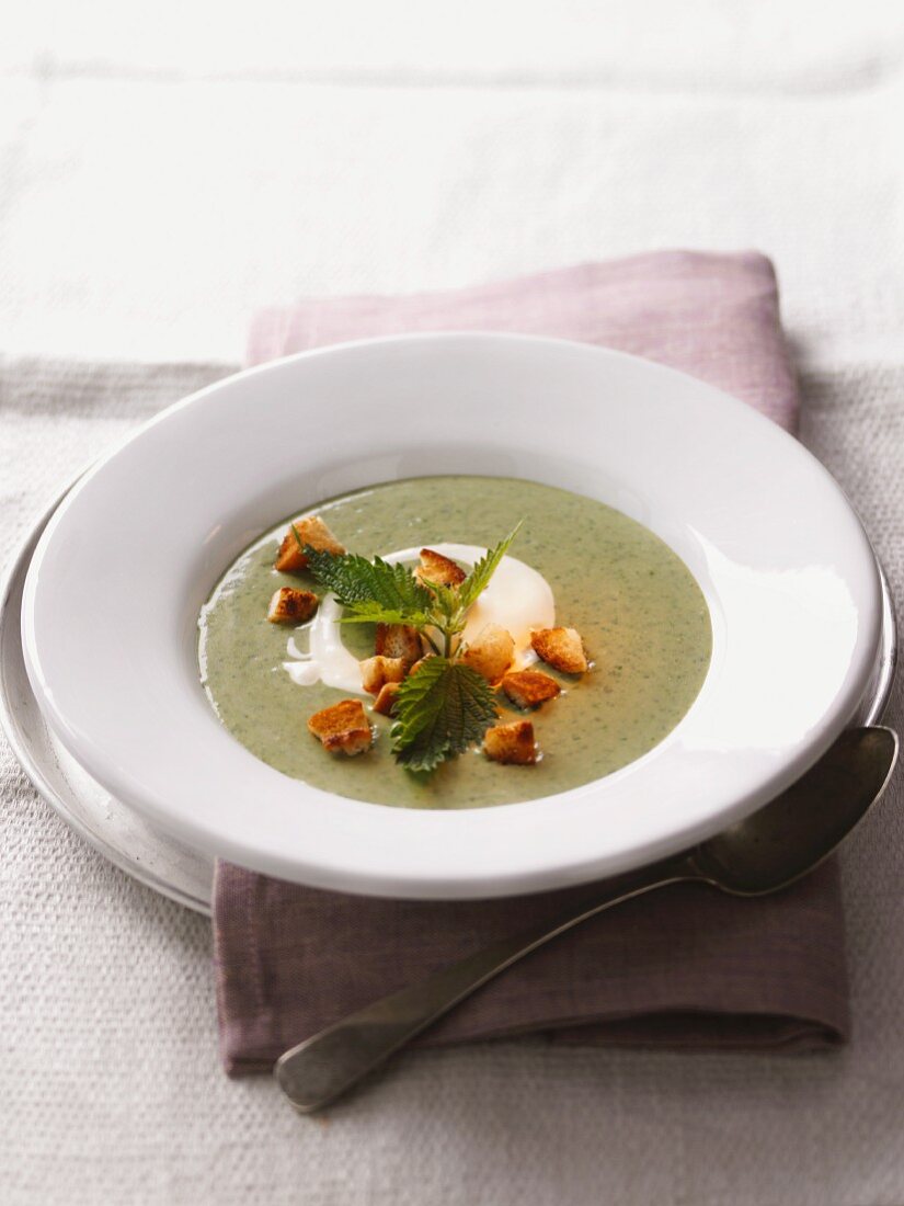 Brennesselsuppe mit Croûtons und Sauerrahm