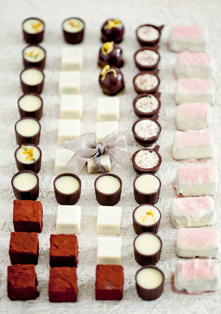Assorted pralines in rows