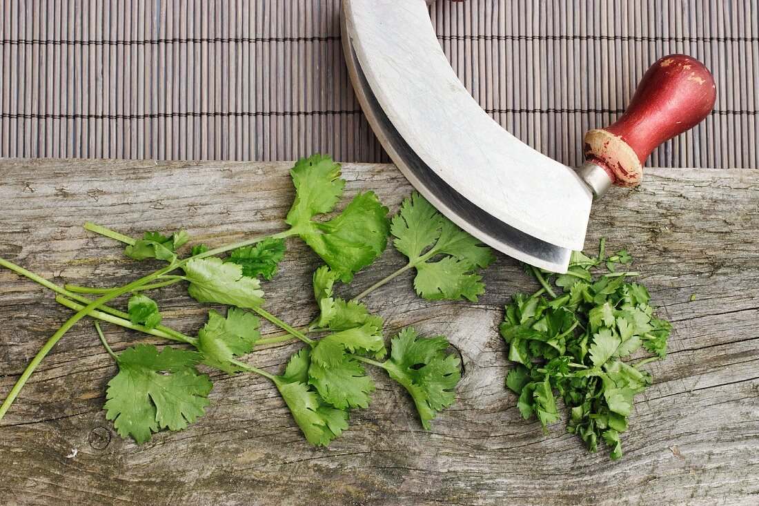 Fresh coriander with a mezzaluna