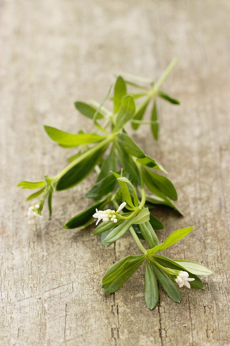 Frischer Waldmeister auf Holzuntergrund