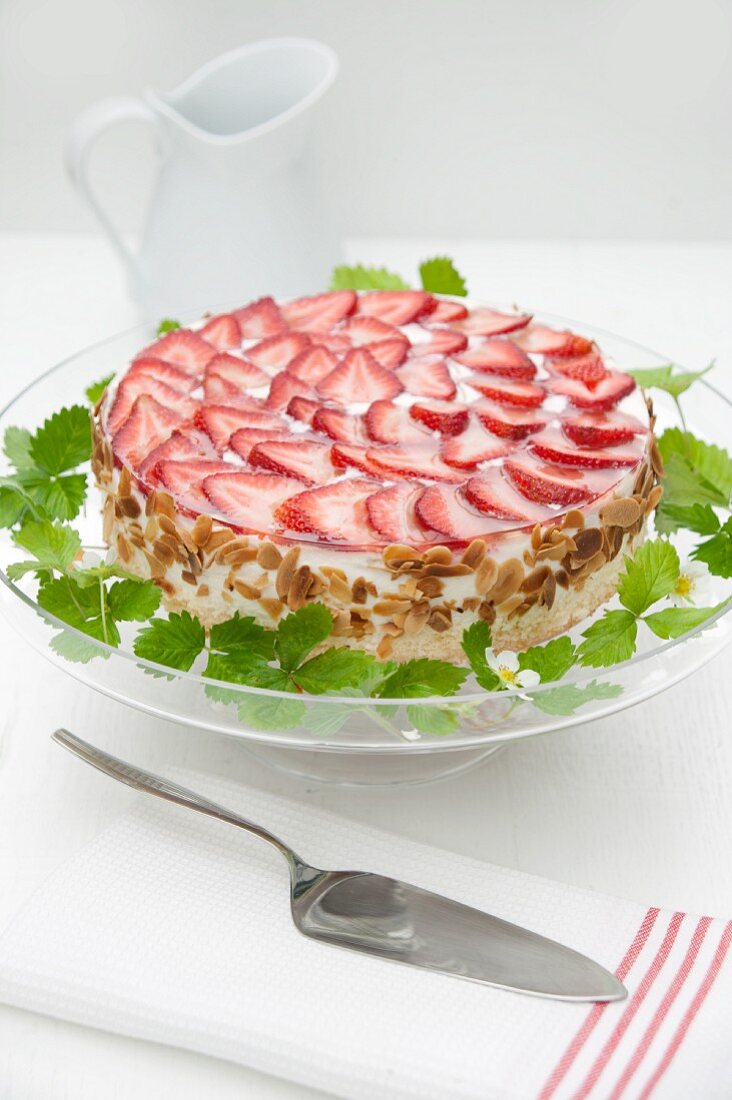 Festlicher Quarkkuchen mit frischen Erdbeeren