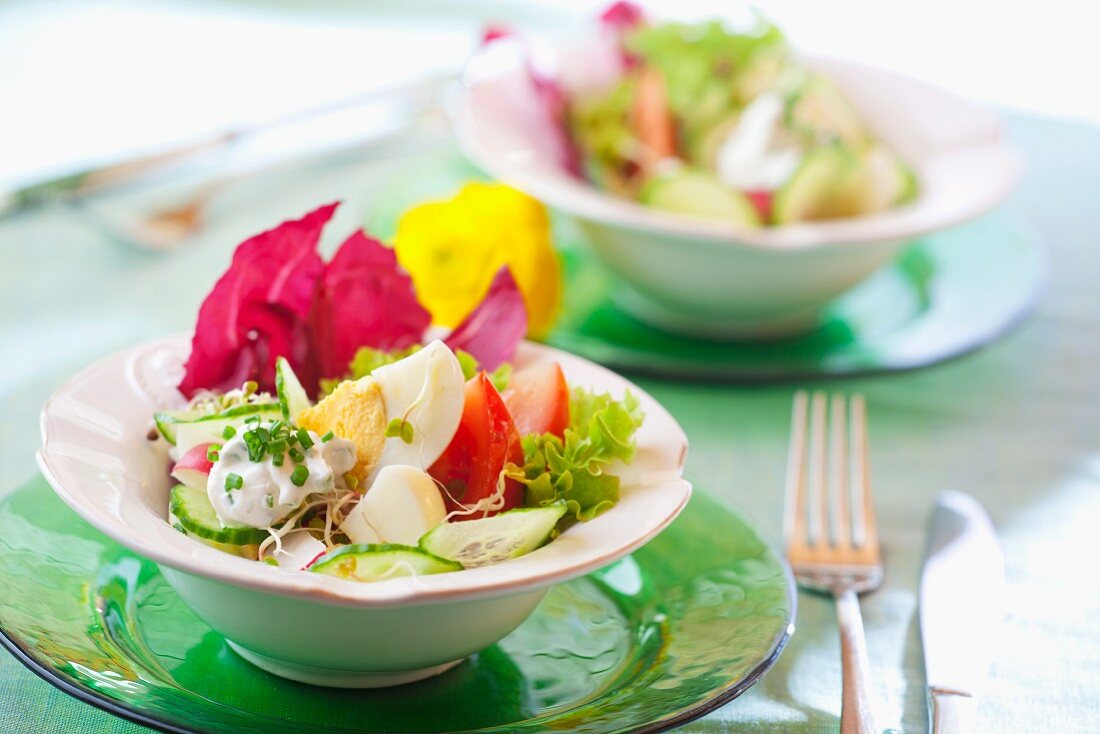 Egg salad with cucumber, tomatoes, chives and radicchio