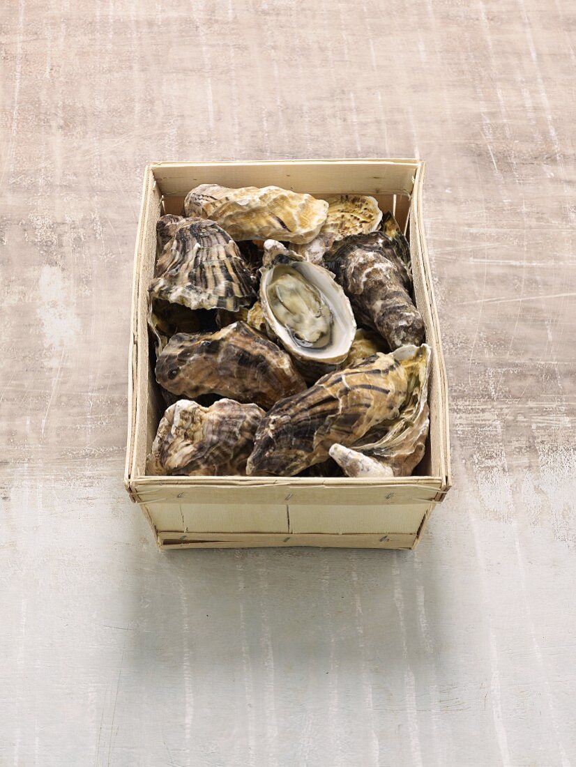 A box of French Fines de Claire oysters
