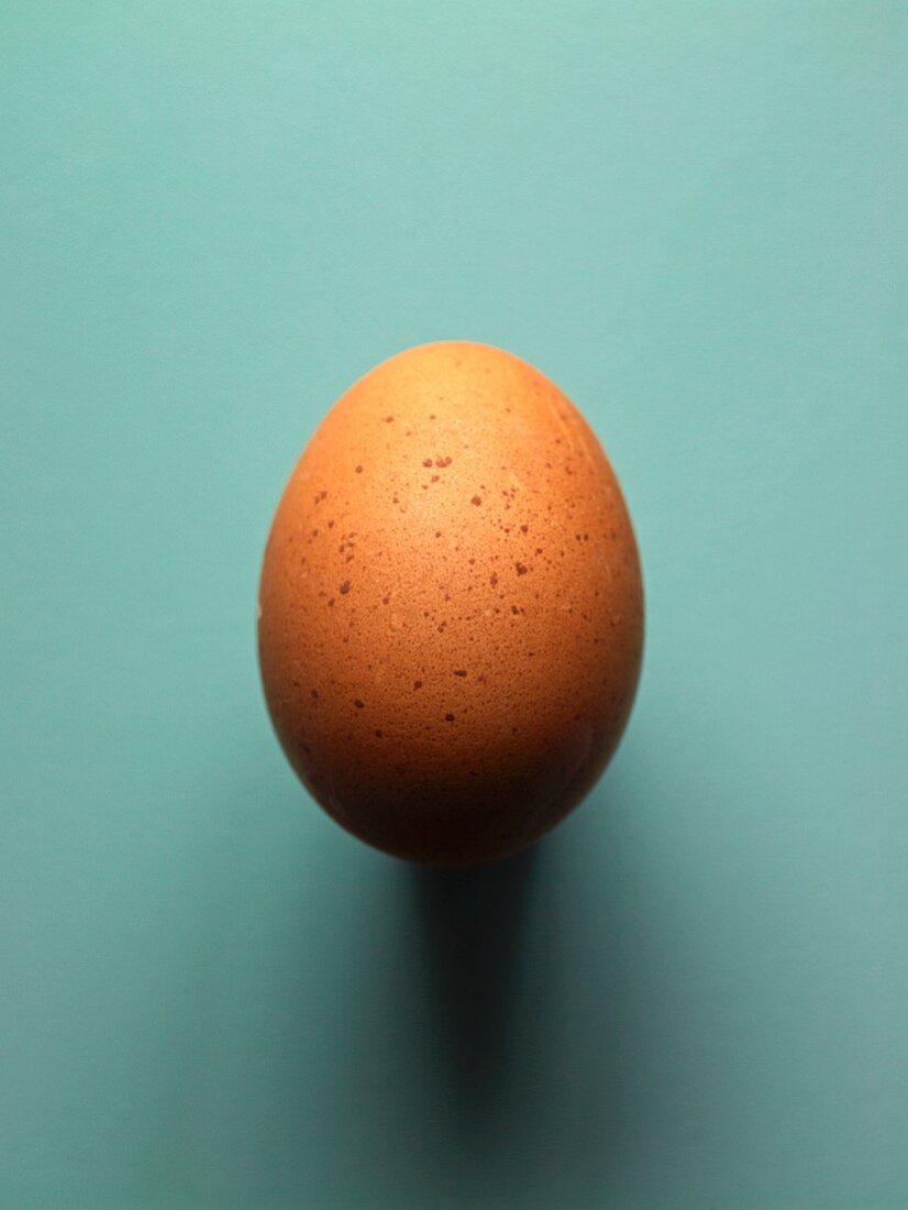 A brown egg from a Sulmtaler hen