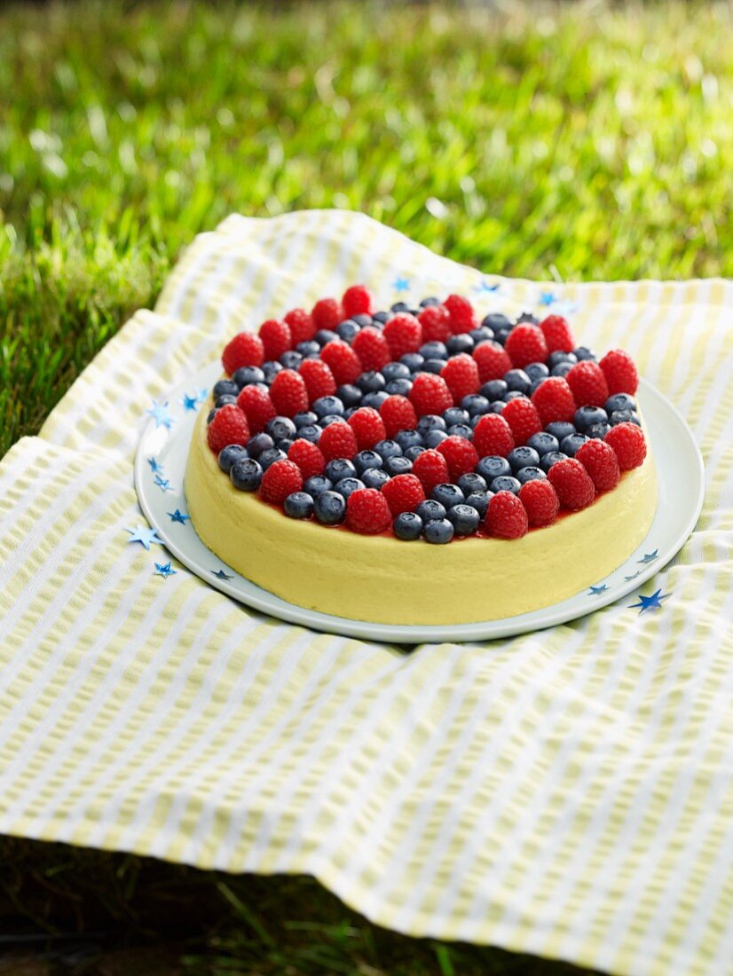 Blueberry and Raspberry Cheesecake on a Blanket int he Grass
