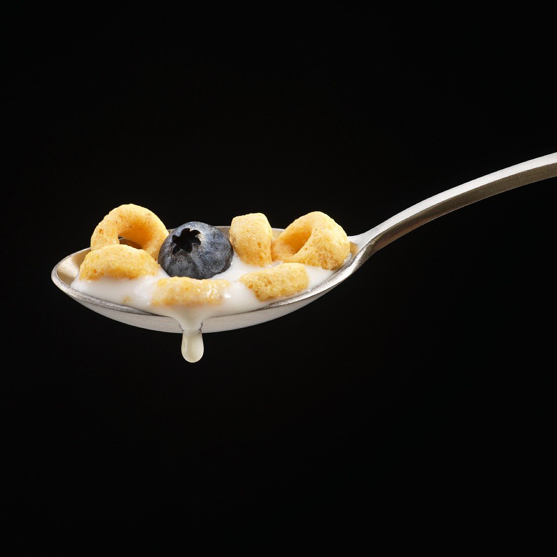 Ein Löffel Cornflakes mit Blaubeere und tropfender Milch