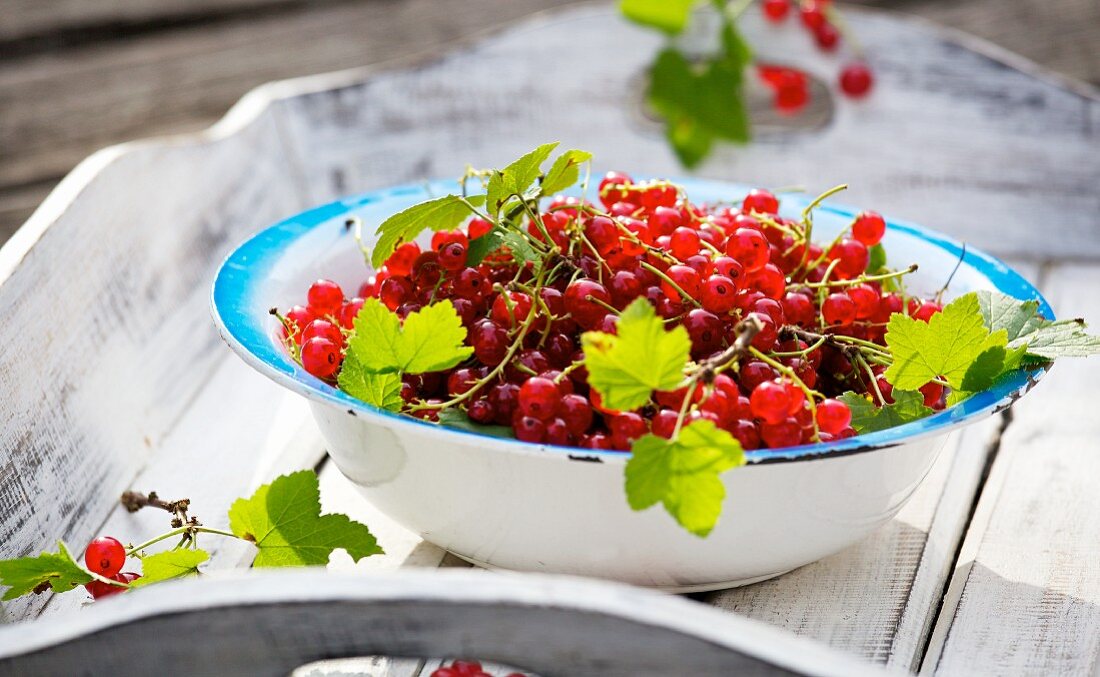 Redcurrants with leaves in a bowl