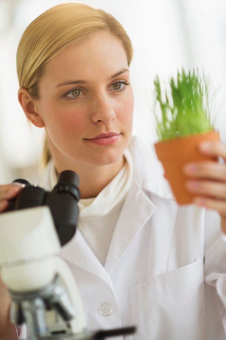 A scientist investigating plants in a lab