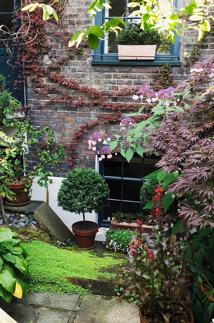 Potted plants in flowering garden adjoining house with brick facade