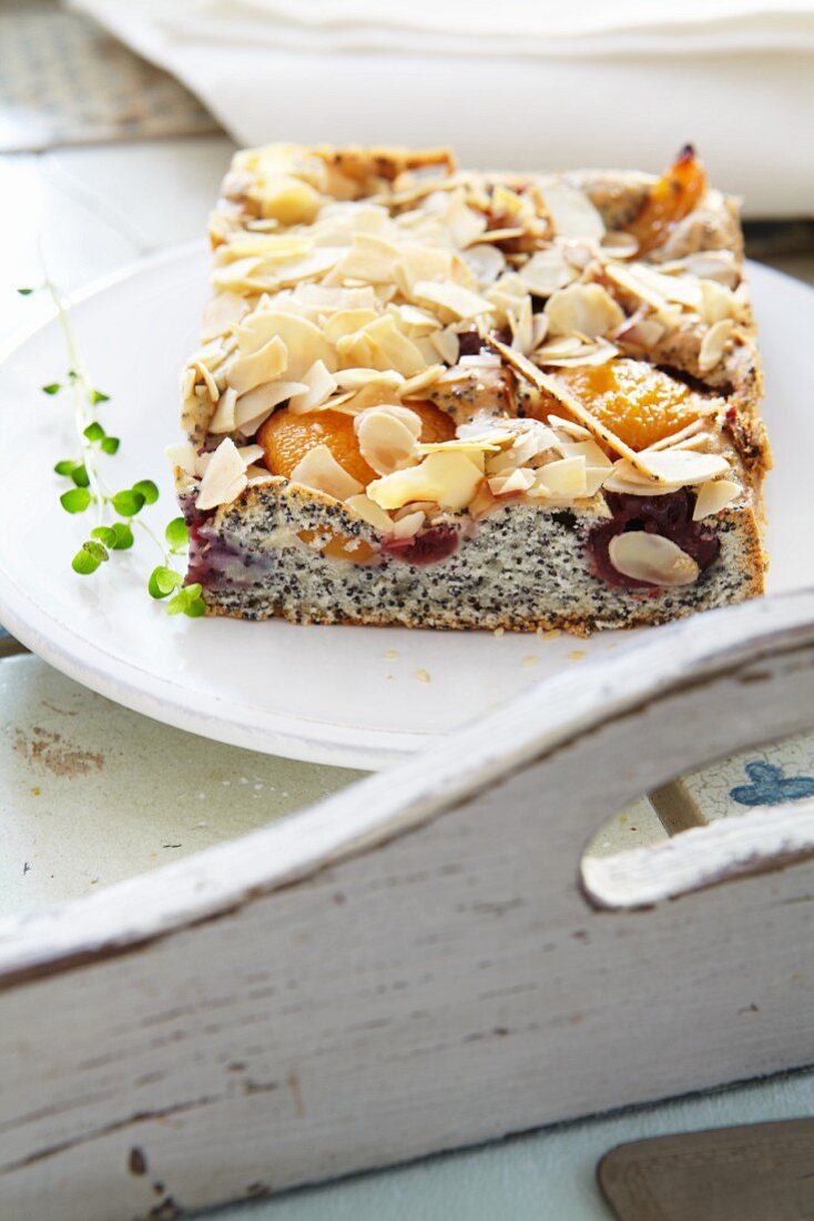 Mohnkuchen vom Blech mit Aprikosen & Kirschen