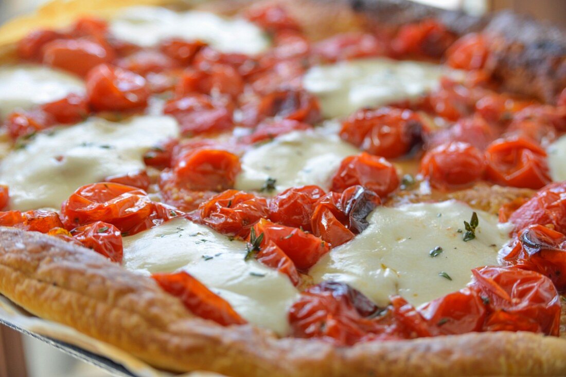 Tomato tart with mozzarella (close-up)