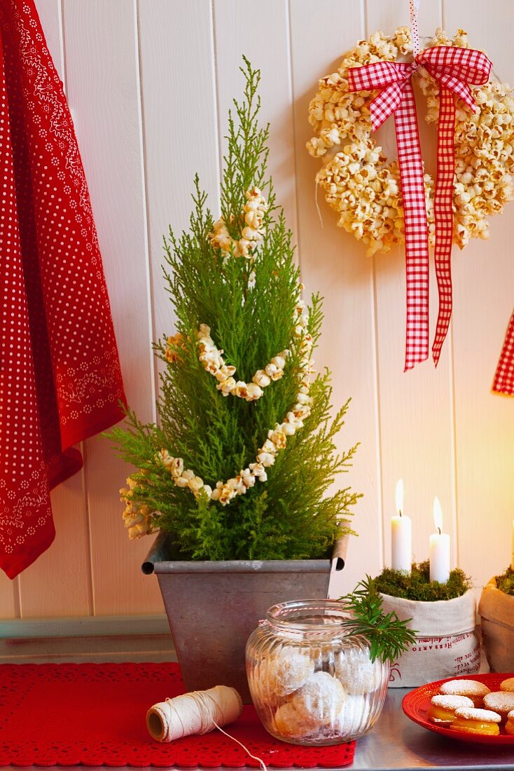 Christmas biscuits, candles in moss, thuja as a Christmas tree and a popcorn wreath