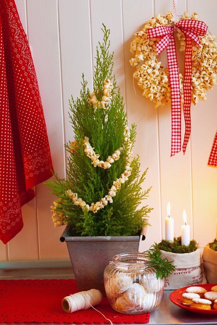 Weihnachtsplätzchen, Kerzen im Moos, Thuje als Christbaum und Popcorn-Kranz