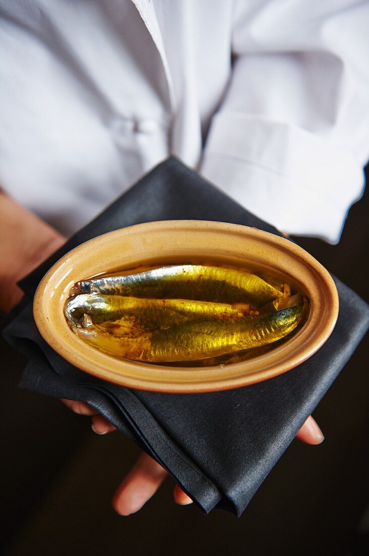 Mackerel in aspic