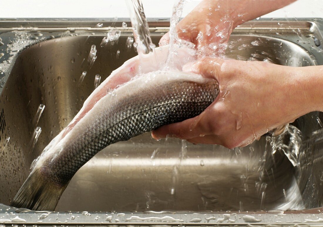 A trout being washed