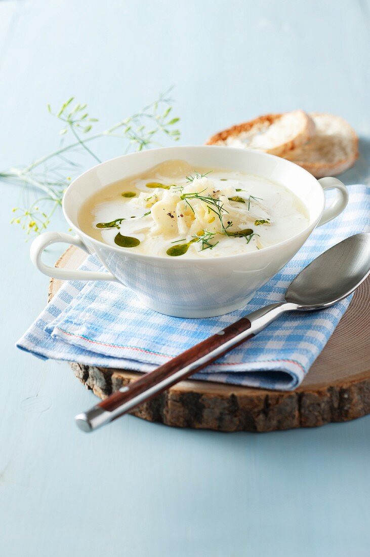 Creamy cheese soup with fennel (Styria, Austria)