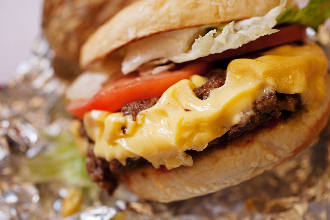 Cheeseburger; Close Up