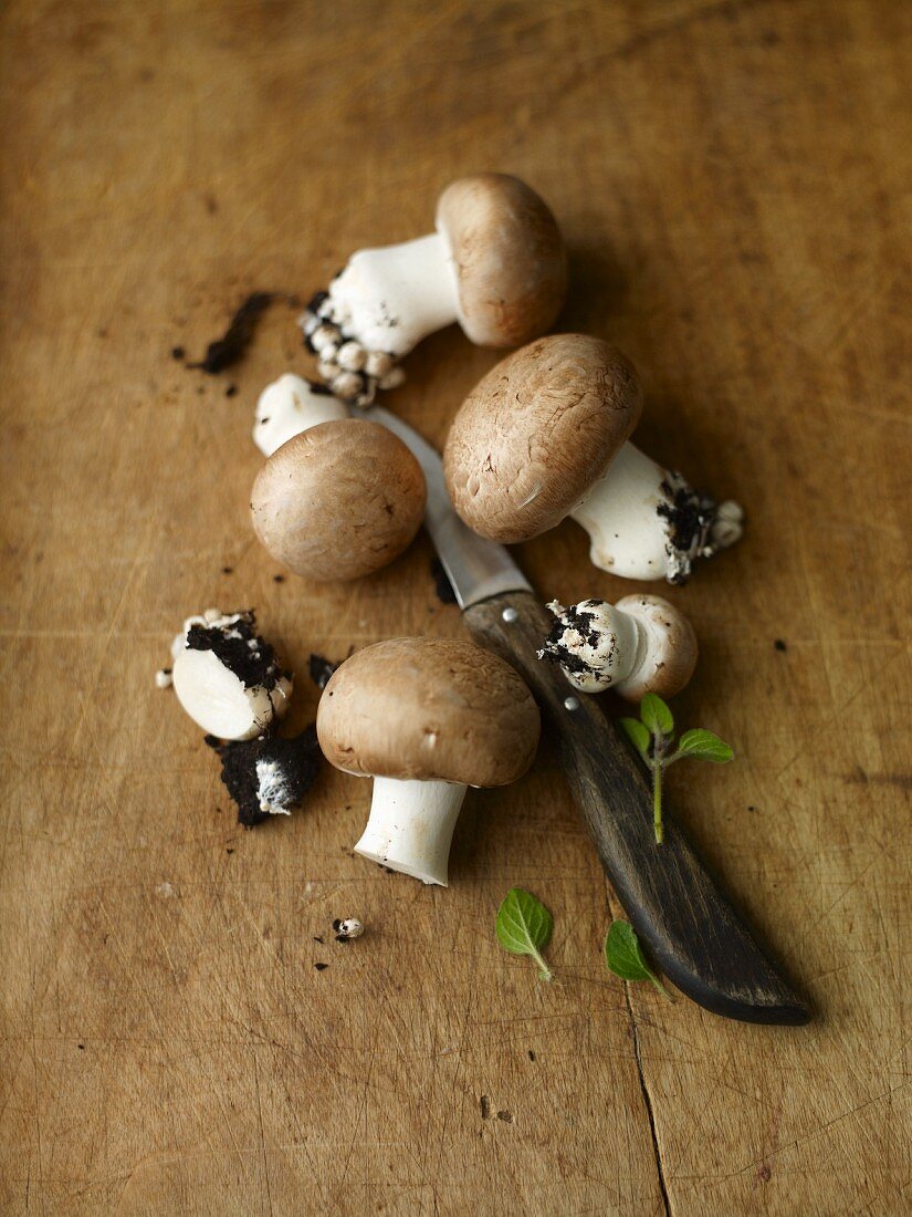 Fresh brown mushrooms with soil and a knife on a wooden surface