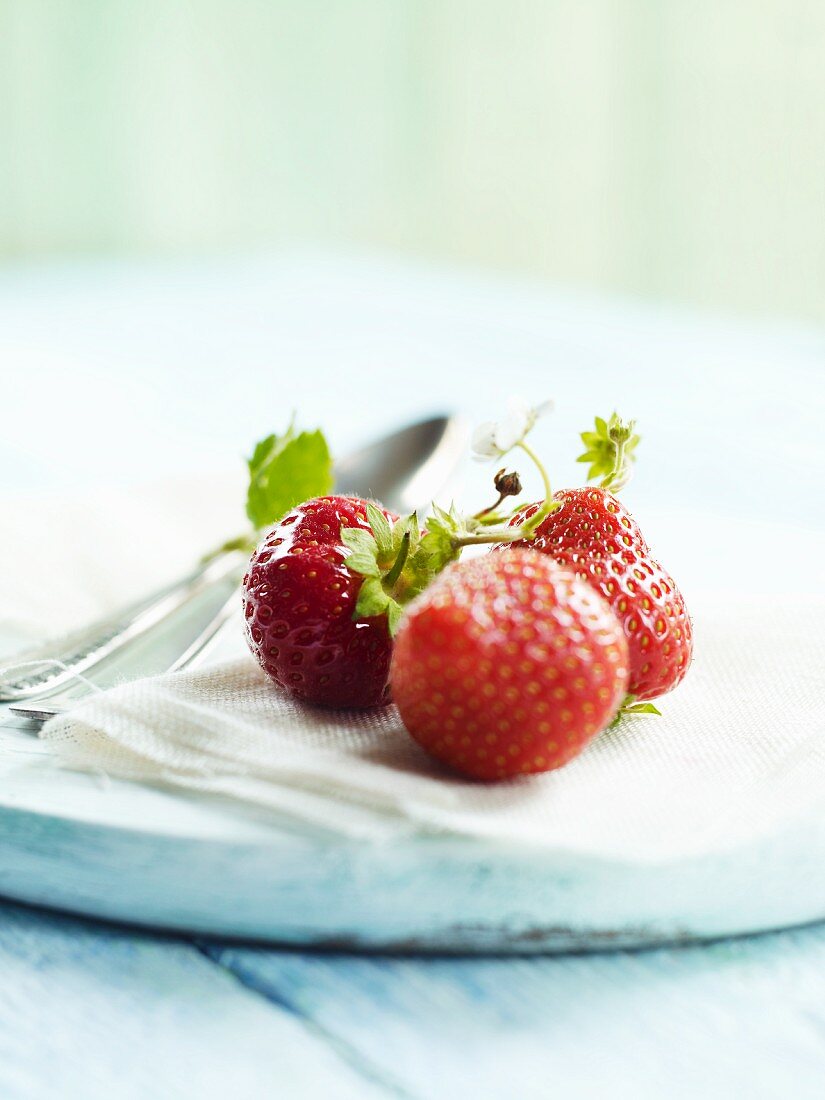 Frische Erdbeeren auf Tuch