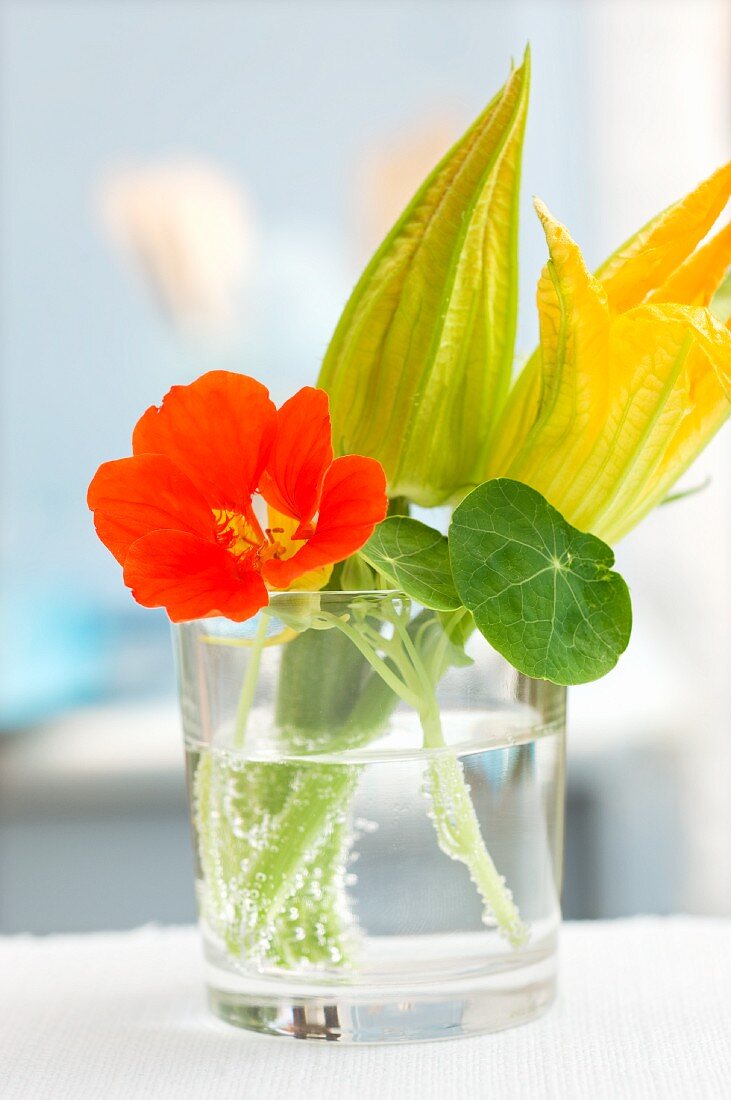 Nasturtiums and courgette flowers in a water glass