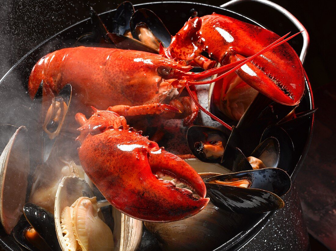 Lobster with mussels